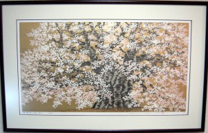 Daigo Cherry Tree At Okayama / 醍醐桜 岡山県