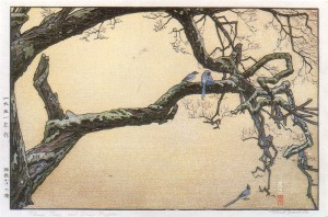 Plum Tree and Blue Magpie 珠数かけの梅 